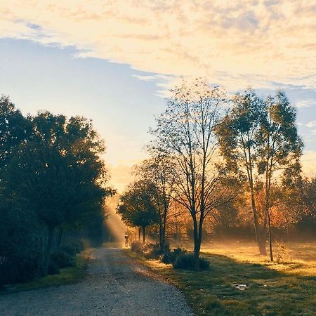 Gite Au Haras Des Arts Saint-Aubin-de-Bonneval エクステリア 写真