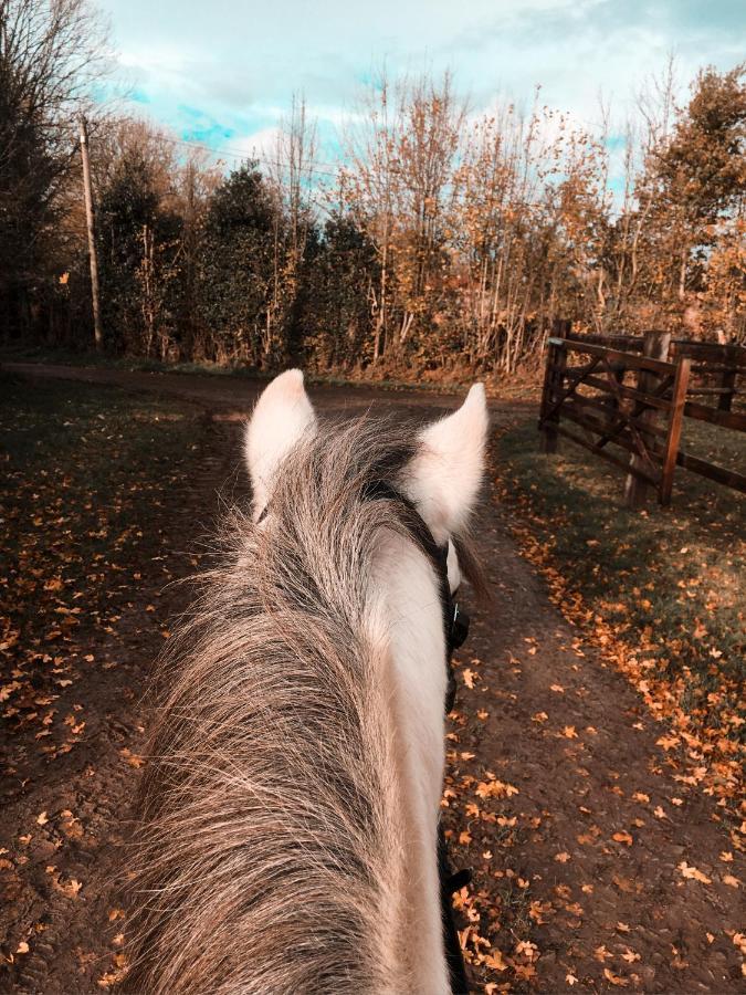Gite Au Haras Des Arts Saint-Aubin-de-Bonneval エクステリア 写真